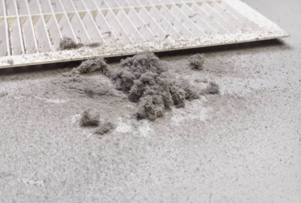Affordable HVAC Duct Cleaning in Versailles, IN