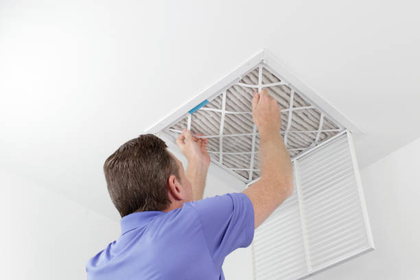 Best Air Duct Cleaning Near Me  in Versailles, IN